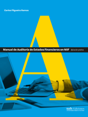 MANUAL DE AUDITORÍA DE ESTADOS FINANCIEROS EN NIIF