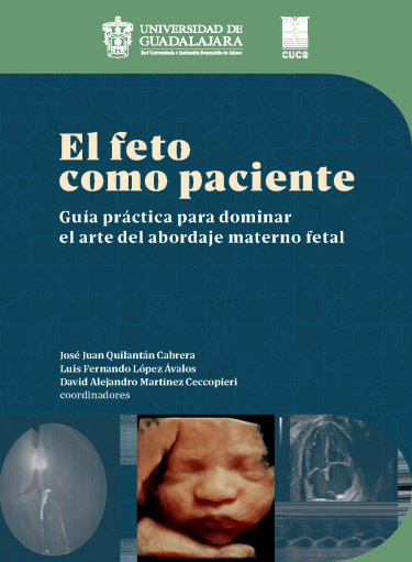 El feto como paciente