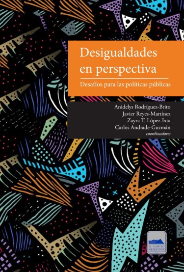 Portada: Desigualdades en perspectiva