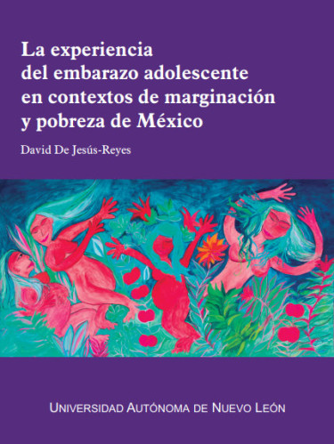 La experiencia del embarazo adolescente en contextos de marginación y pobreza de México