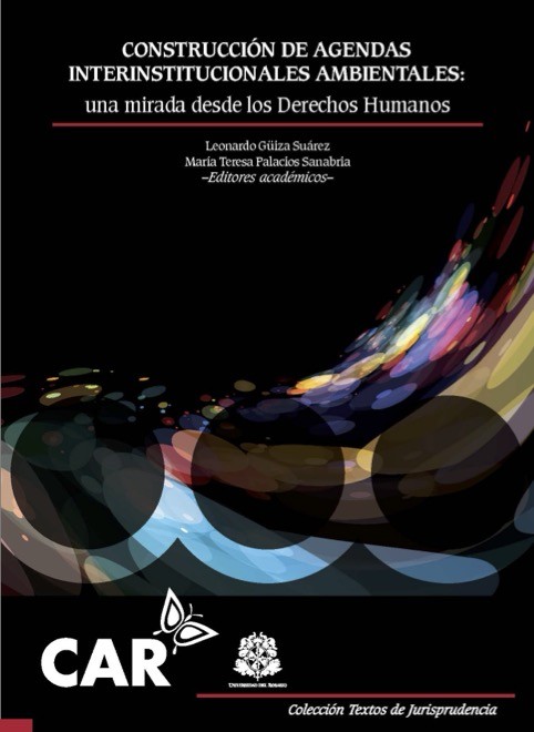 Construcción de agendas interinstitucionales ambientales: Una mirada desde los Derechos Humanos