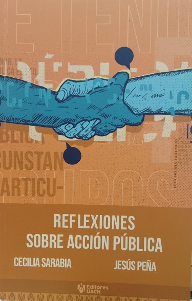 Reflexiones sobre acción pública
