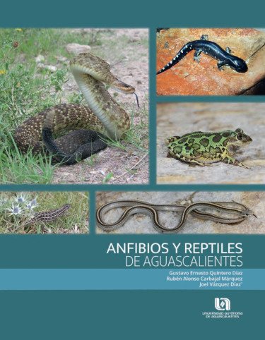 Anfibios y reptiles de Aguascalientes