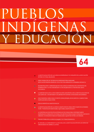 Pueblos indígenas y educación 64