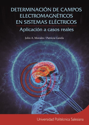 Determinación de campos electromagnéticos en sistemas electromagnéticos