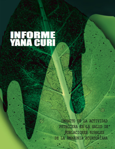 Informe Yana Curi