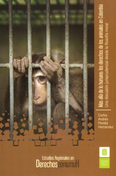Más allá de lo humano: los derechos de los animales en Colombia