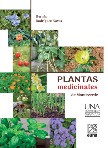 Plantas medicinales de Monteverde