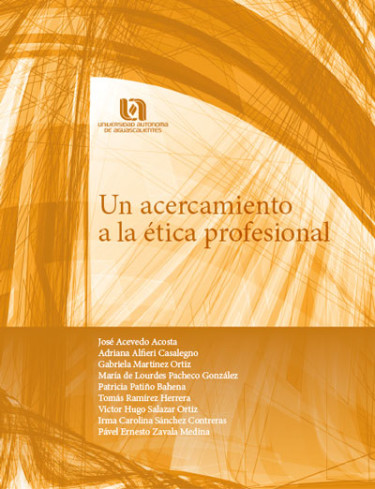 Un acercamiento a la ética profesional