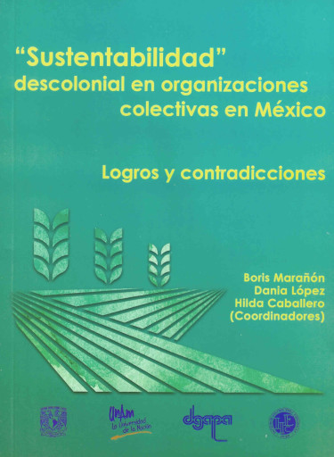 "Sustentabilidad" descolonial en organizaciones colectivas en México. Logros y contradicciones