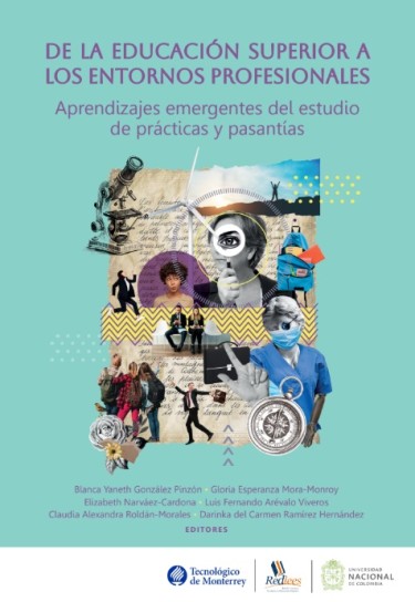 De la educación superior a los entornos profesionales