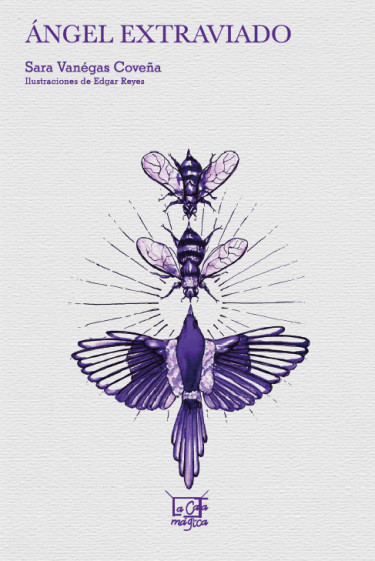 Ángel extraviado