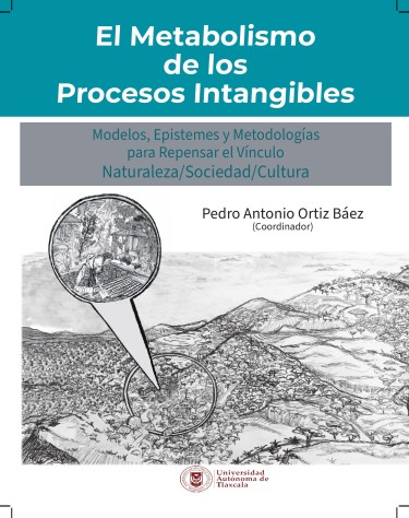 El metabolismo de los procesos intangibles
