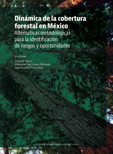 Dinámica de la cobertura forestal en México: alternativas metodológicas para la identificación de riesgos y oportunidades