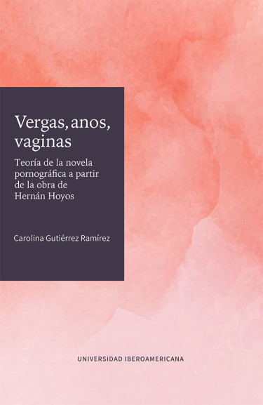 Vergas, anos, vaginas: teoría de la novela pornográfica a partir de la obra de Hernán Hoyos