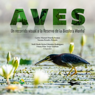 Aves