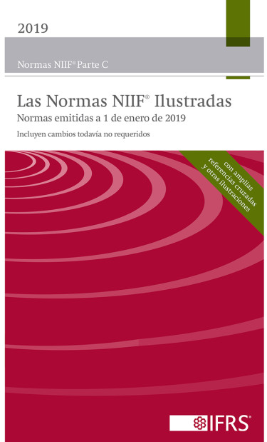 Normas Internacionales de Información Financiera 2019