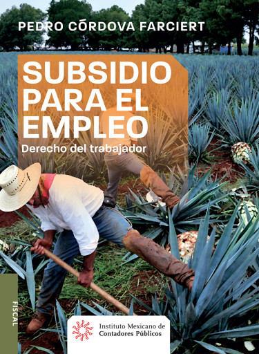 Subsidio para el empleo