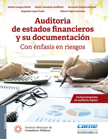 Auditoría de estados financieros y su documentación