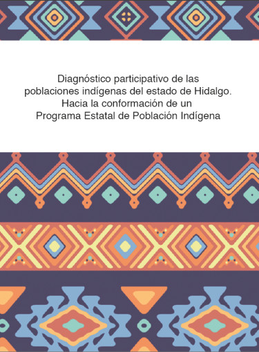 Diagnóstico participativo de las poblaciones indígenas del estado de Hidalgo. Hacia la conformación de un Programa Estatal de Población Indígena