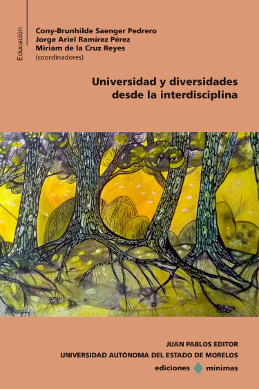 Universidad y diversidades desde la interdisciplina