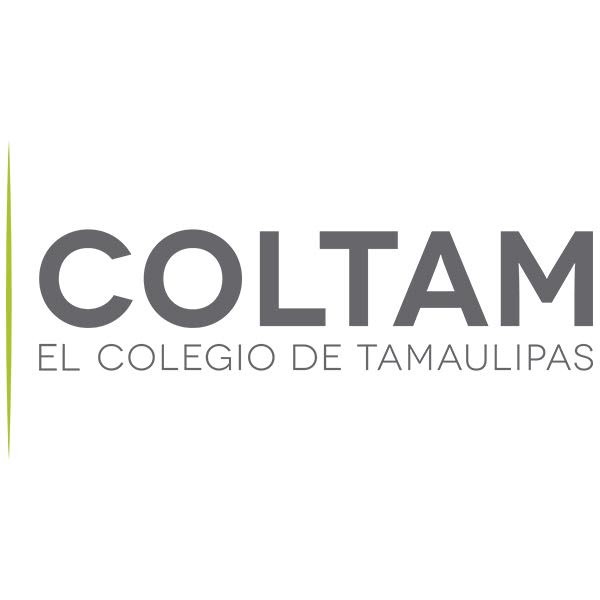 Agendas digitales en México: una necesidad para la inclusión social ...