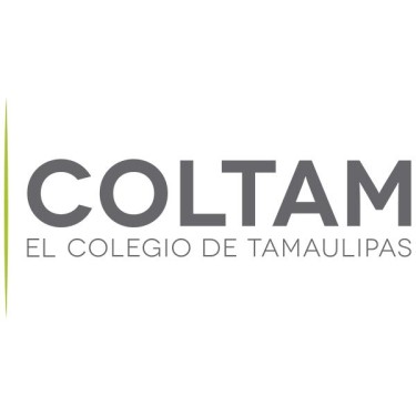 Agendas digitales en México: una necesidad para la inclusión social desde lo local