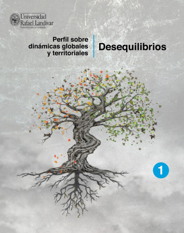 Perfil sobre dinámicas globales y territoriales: desequilibrios