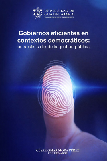 Gobiernos eficientes en contextos democráticos: un análisis desde la gestión pública