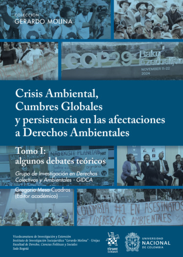 Crisis ambiental, cumbres globales y persistencia en las afectaciones a Derechos Ambientales