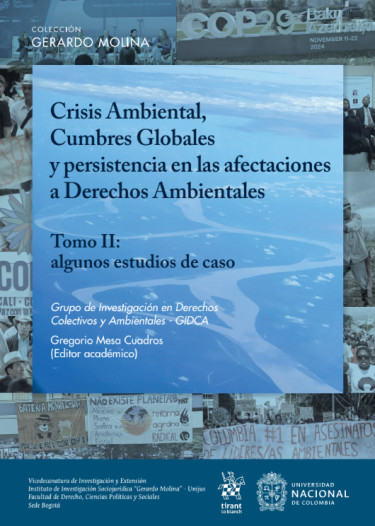 Crisis Ambiental, Cumbres Globales y persistencia en las afectaciones a Derechos Ambientales