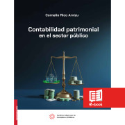 Contabilidad patrimonial en el sector público
