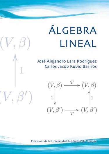 Álgebra lineal