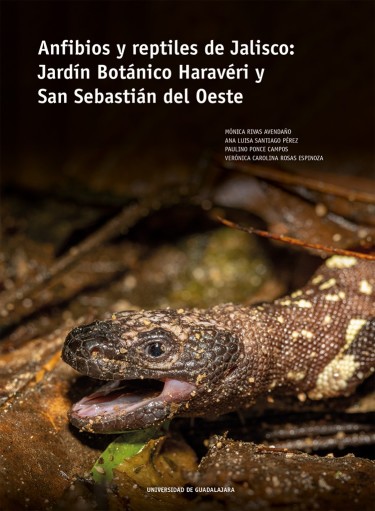 Anfibios y reptiles de Jalisco: Jardín Botánico Haravéri y San Sebastián del Oeste
