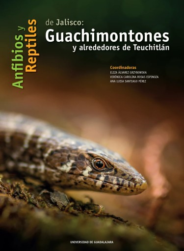 Anfibios y reptiles de Jalisco: Guachimontones y alrededores de Teuchitlán