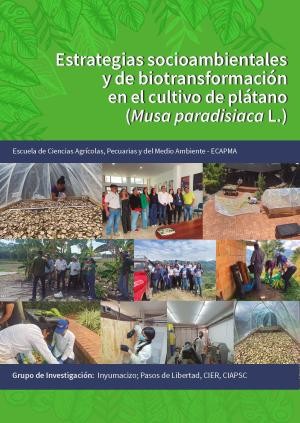 Estrategias socioambientales y de biotransformación en el cultivo de plátano (Musa paradisiaca l.)