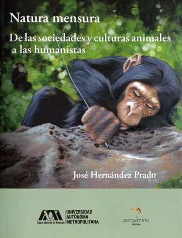 Natura mensura