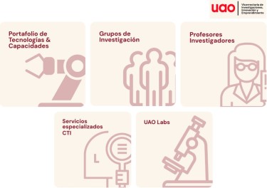 Portafolio de capacidades