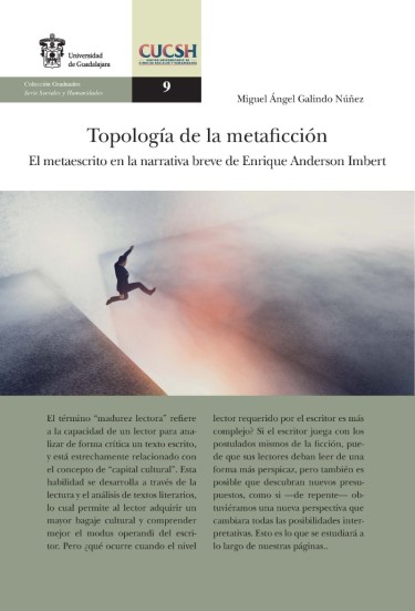 Topología de la metaficción