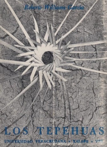Los tepehuas