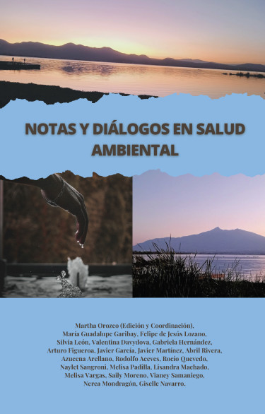 Notas y diálogos en salud ambiental