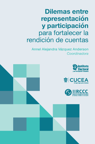 Dilemas entre representación y participación para fortalecer la rendición de cuentas