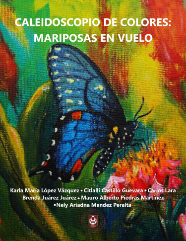 Caleidoscopio de colores: