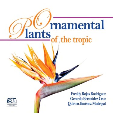 Ornamental plants of the tropic