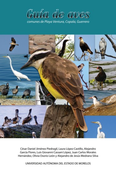 Portada: Guía de aves comunes de Playa Ventura