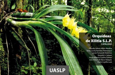 Orquídeas de Xilitla, S.L.P.