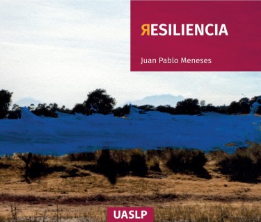 Resiliencia