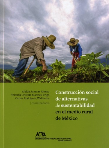 Construcción social de alternativas de sustentabilidad en el medio rural de México