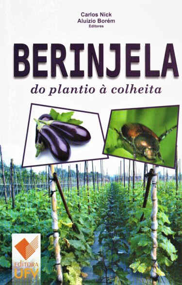 Berinjela do plantio à colheita