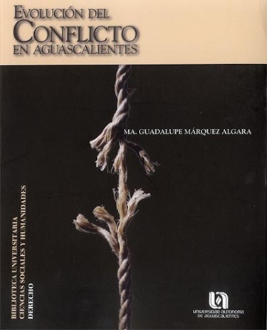Evolución del Conflicto en Aguascalientes
